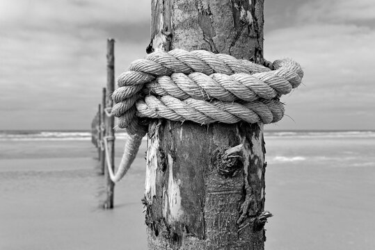 Poles with rope at the guarded beach, monochrome, Wangerooge, East Frisian Islands, North Sea, Lower Saxony, Germany, Europe