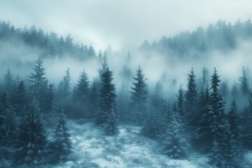 Fototapeta premium Foggy Forest Isolation on White Background: A High-Contrast Visual Exploration