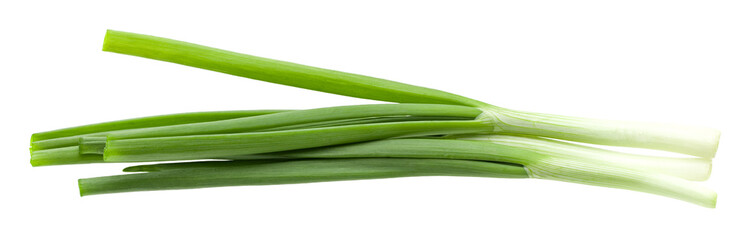 bunch of green onion isolated on white background. clipping path