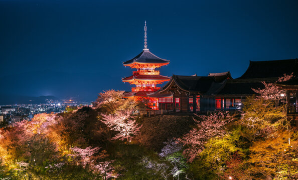 Kiyomizu dera temple ,light up in Spring, Kyoto, Japan