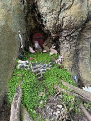 Beautiful gnome`s house under tree outdoors. Dutch tradition