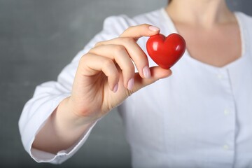 Doctor holding red heart on grey background, closeup