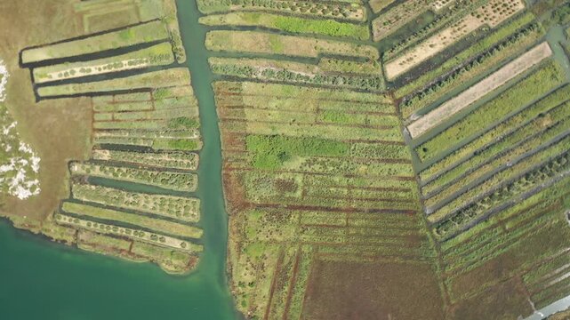 Soar above the stunning Ploce Delta in this mesmerizing drone footage