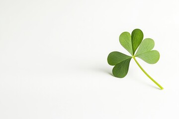 Clover isolated on white background, St. Patrick's Day symbol, full depth of field, ai