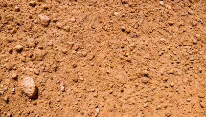 Natural Earthy Textured Surface