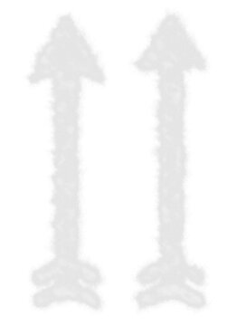 white transparent cloudy errow