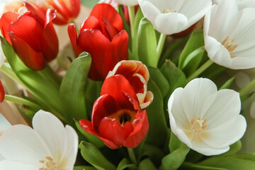 Spring Inspiration: Tulip Bouquet in Honor of International Women's Day