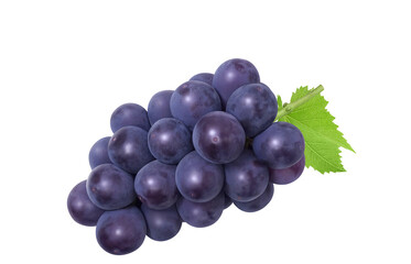 巨峰 イラスト リアル ぶどう