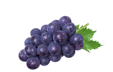 巨峰 イラスト リアル ぶどう