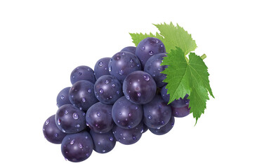 巨峰 イラスト リアル ぶどう