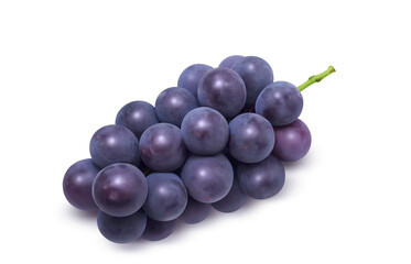 巨峰 イラスト リアル ぶどう