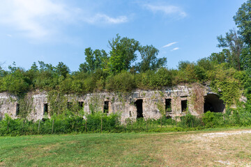 old ruin where nature has taken over
