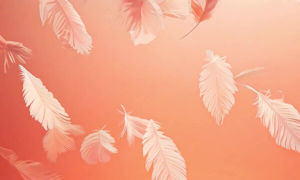 Soft, pink feathers floating gently against a warm, fuzz peach background