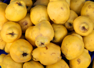 Bunch of Quince Fruits ready  for Sale at Market in Heybeliada , Istanbul, Turkey