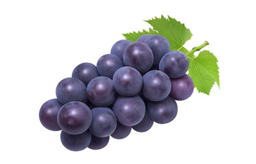 巨峰 イラスト リアル ぶどう