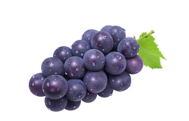 巨峰 イラスト リアル ぶどう