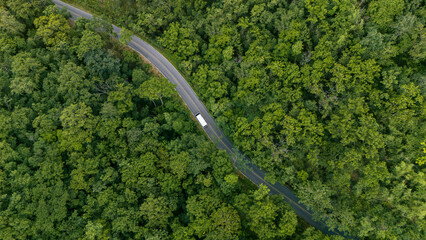 Aerial view of car in green forest. eco-friendly transport. Clean and greenhouse-free green transport concept in electric drive mode.