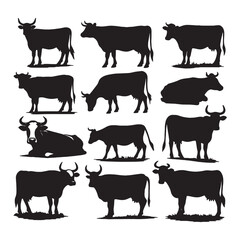 set of cows silhouettes on white	