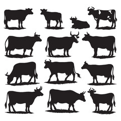 set of cows silhouettes on white	