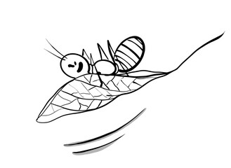 Fototapeta premium Funny doodle ant on leaf cartoon