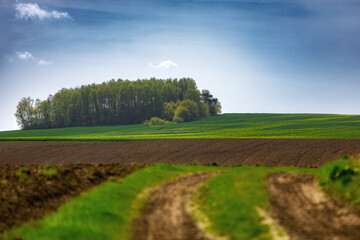 Zagajnik
