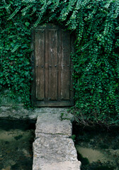 old wooden door hidden in a grass wall
