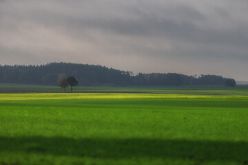 Pomorze
