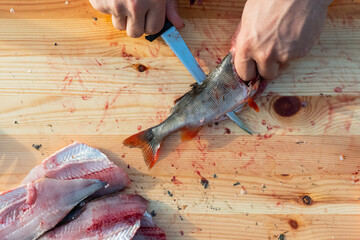 cleaning and preparing fish. making fillets with knife on wooden board