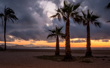 beach at sunset, warm colors at sunrise on the beach 6