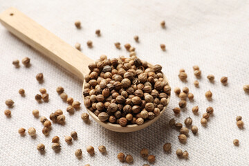 Spoon with dried coriander seeds on light cloth, closeup