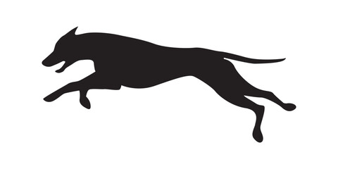 silhouette of dog running dog playing