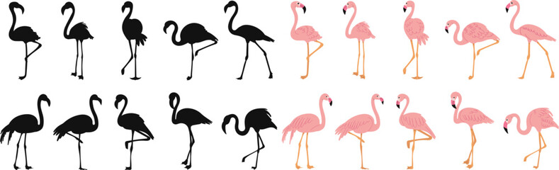 set of pink flamingos, on a white background vector