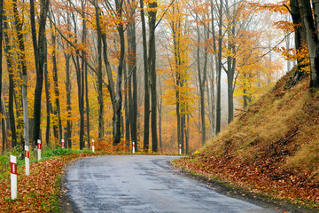 Obraz premium Jesień na pojezierzu