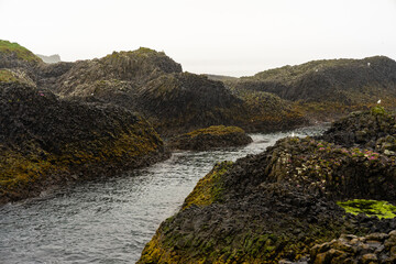Felsige Küste mit all ihren Farben und kleinen Blumen und Moosen an einem regnerischen bewölkten...