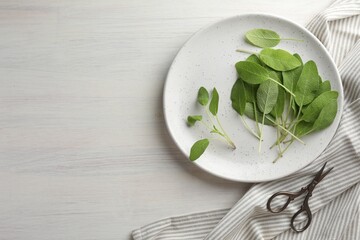 Fresh sage leaves and scissors on light wooden table, flat lay. Space for text