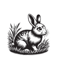 Rabbit  in grass vector style, black and white color