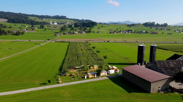 Schuebelbach, Mais, Labrinth, Weed, Tourism, Switzerland, Swiss