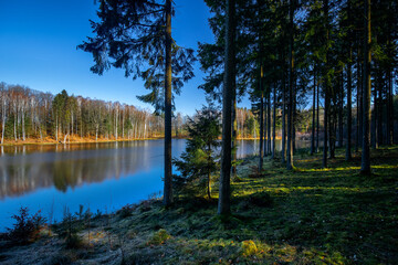 Leśne jezioro © Robert