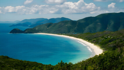 Tranquil Beach Scene - Exotic Tropical Beach Landscape with Palm Trees