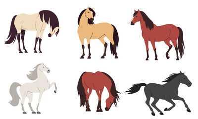 Set of flat vector illustrations on white background. Horses of different colors and breeds . Vector illustration