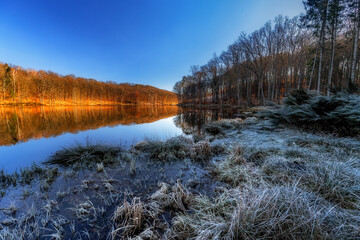 Mroźny poranek © Robert