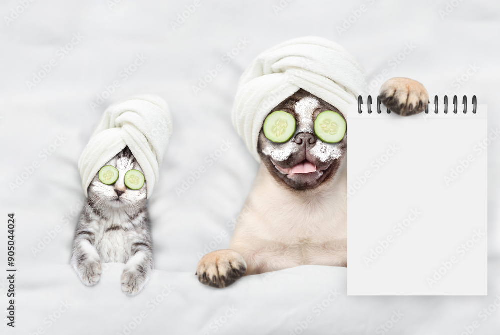 Aufkleber Funny kitten and pug puppy with towel on their heads, with cream on their faces and with a pieces of cucumber on their eyes relaxing on the bed at spa salon. Top down view. Empty space for text