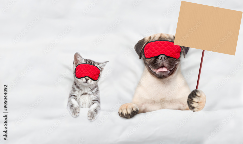 Fototapete pug puppy and tiny kitten wearing sleeping masks sleep together on a bed at home. pug puppy shows bl