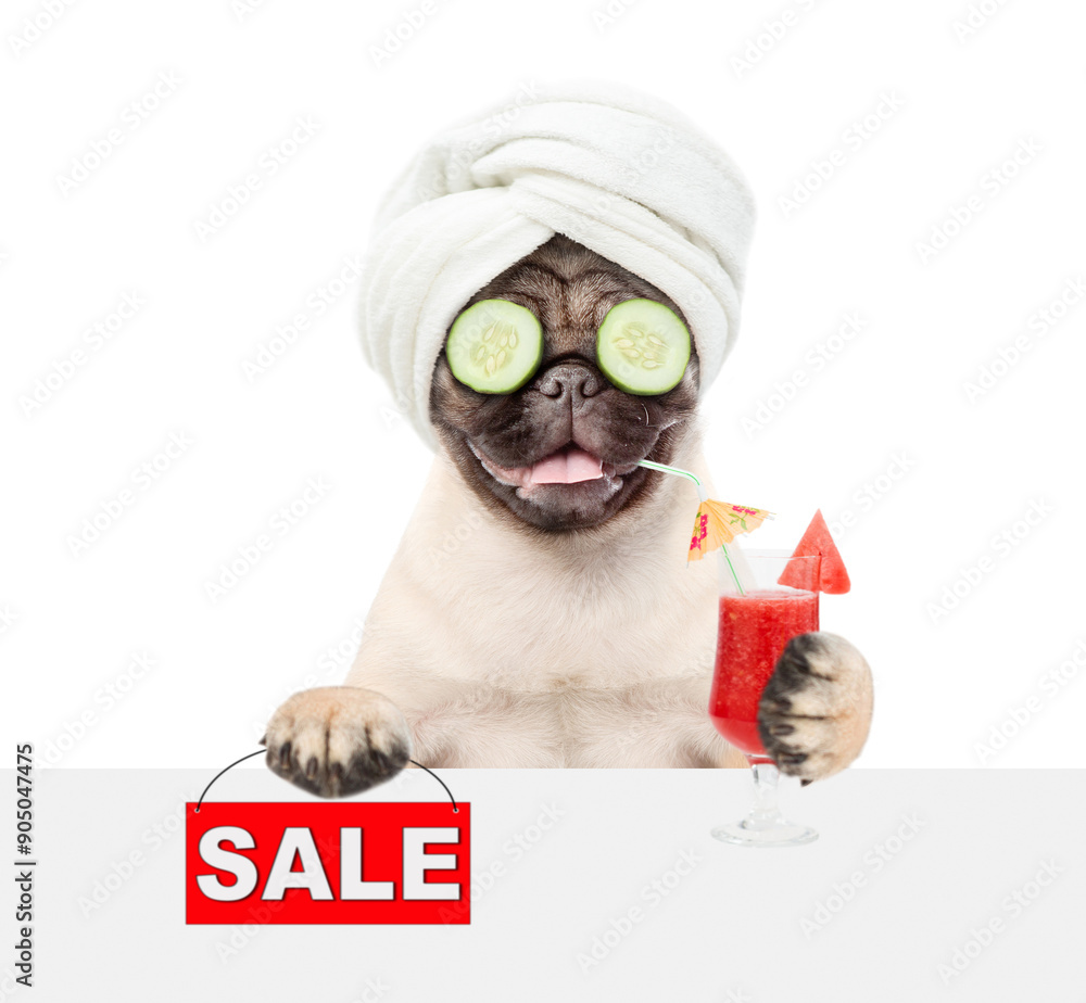 Aufkleber Funny Pug puppy with towel on it head and with a piece of cucumber on it eyes holds watermelon cocktail above blank white banner and holding signboard with labeled 