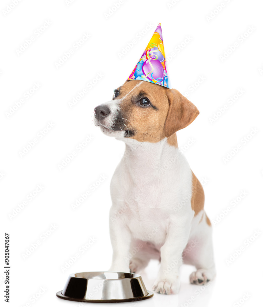 Poster jack russell terrier puppy wearing party cap sits with empty bowl and looks away and up on empty spa