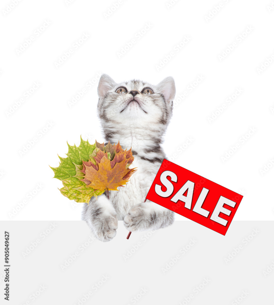 Poster cute kitten holds dry leaves and shows signboard with labeled 