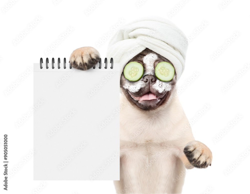 Aufkleber Funny pug puppy with towel on it head with cream and slices of cucumber on his face shows empty list. isolated on white background