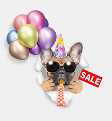 French bulldog wearing sunglasses and party cap blows in party horn, looks through a hole in white paper, holds balloons and shows signboard with labeled "sale"