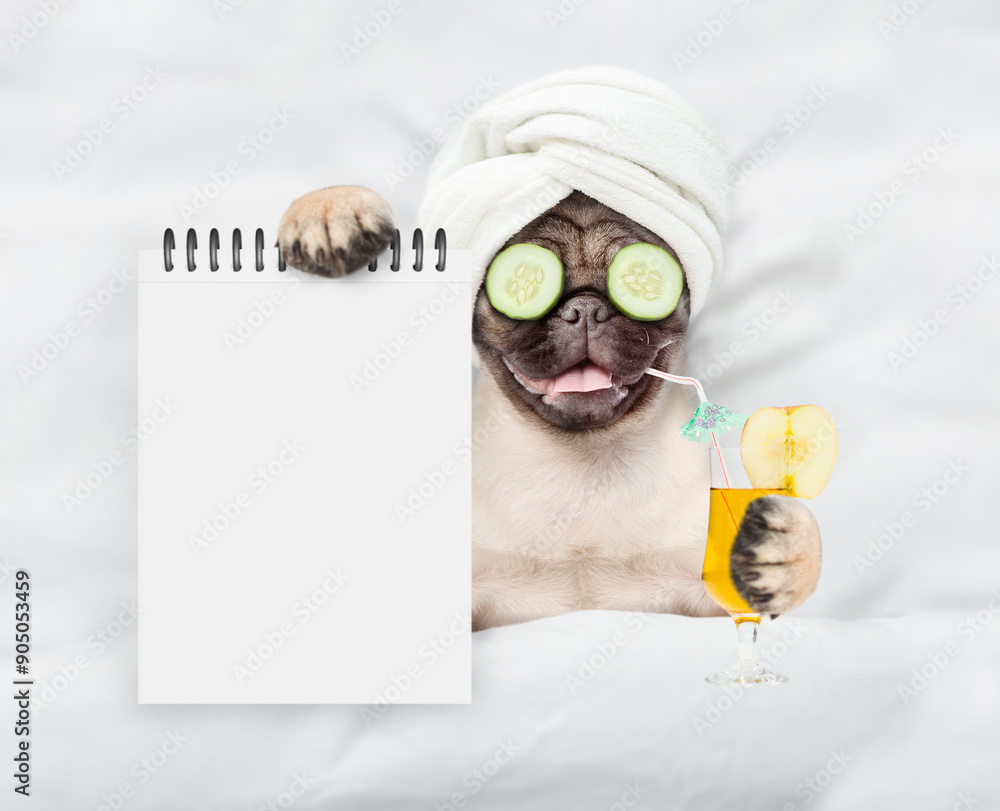 Fototapete Funny Pug puppy with towel on it head,with cream on it face and a pieces of cucumber on it eyes holds orange cocktail and relaxing on the bed at beauty salon and showing empty list. Top down view