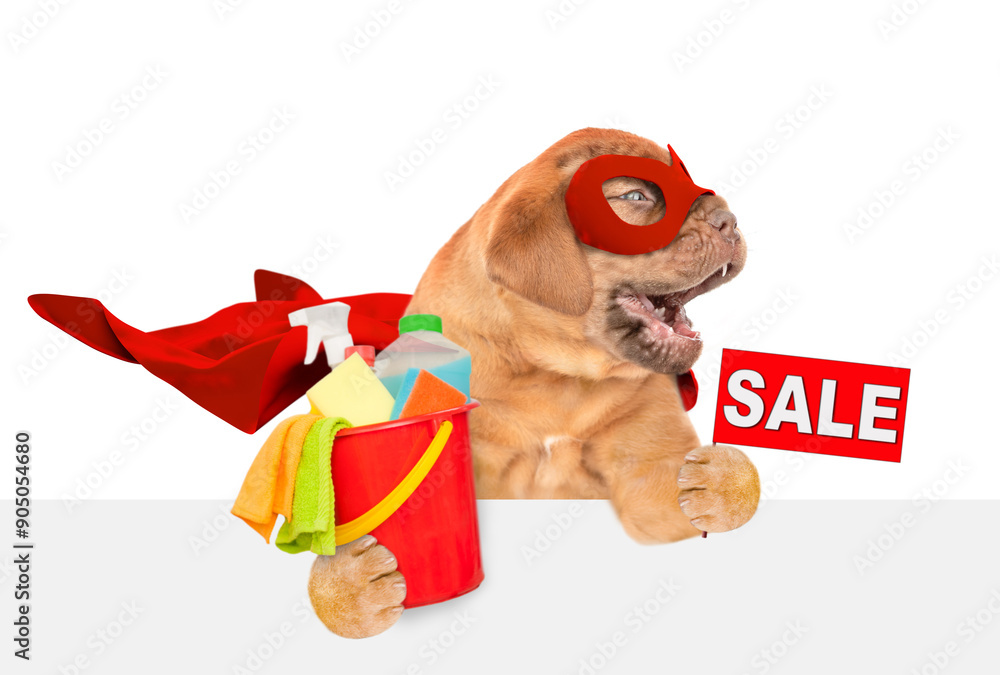 Poster funny mastiff puppy wearing superhero costume holds bucket with washing fluids and showing signboard